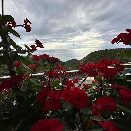 Selami Sea View Apartments Lukovë 외부 사진