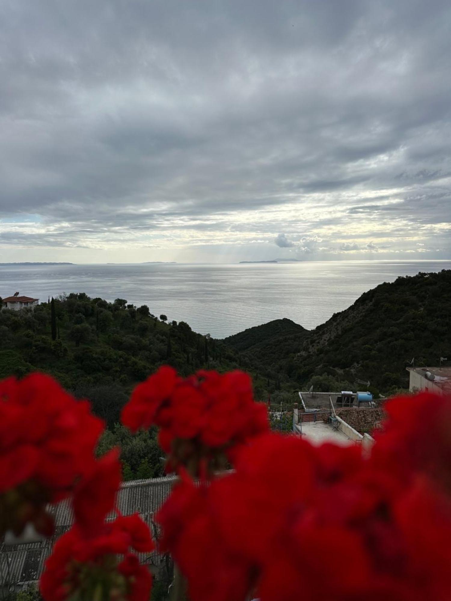 Selami Sea View Apartments Lukovë 외부 사진