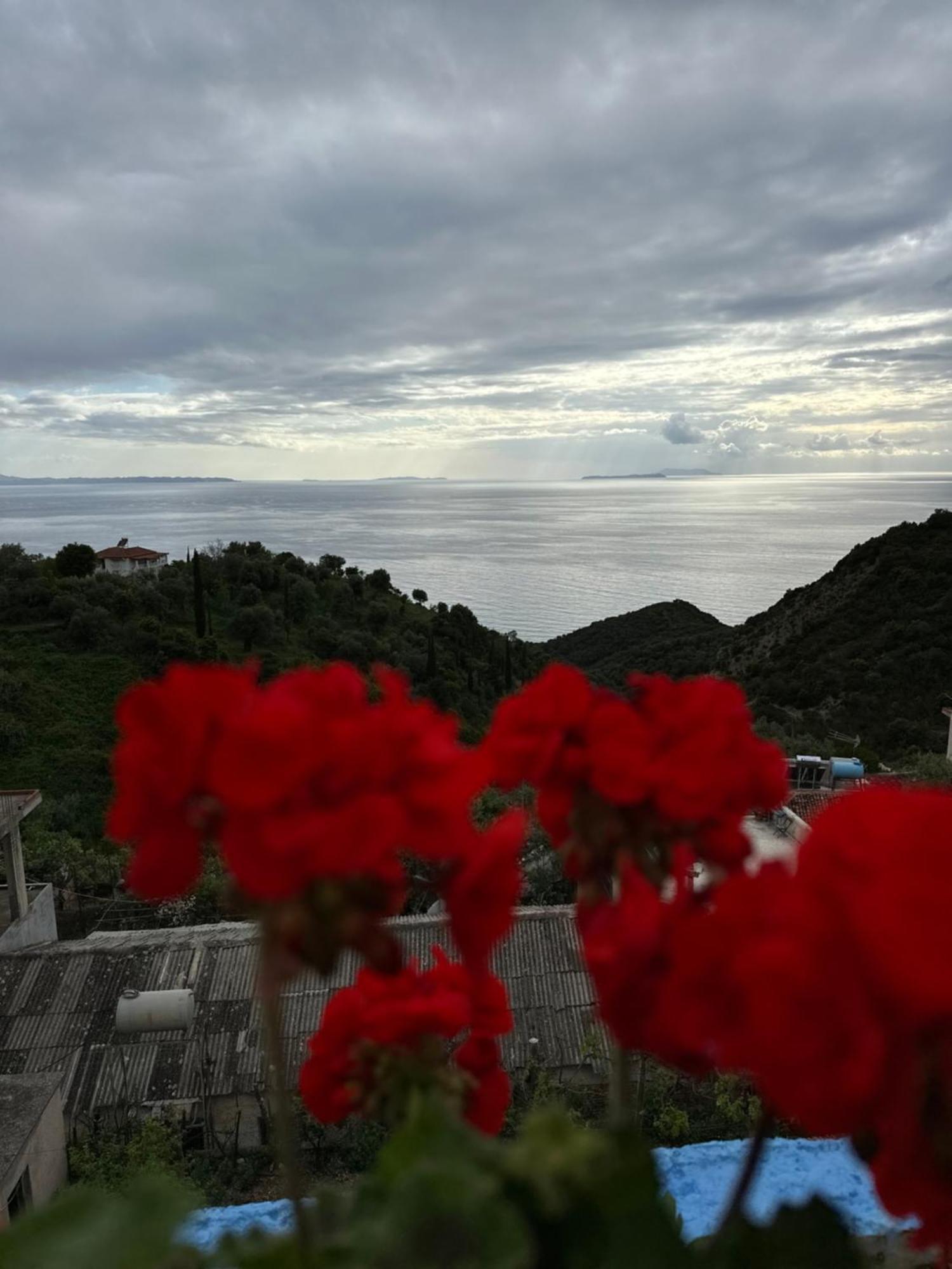 Selami Sea View Apartments Lukovë 외부 사진