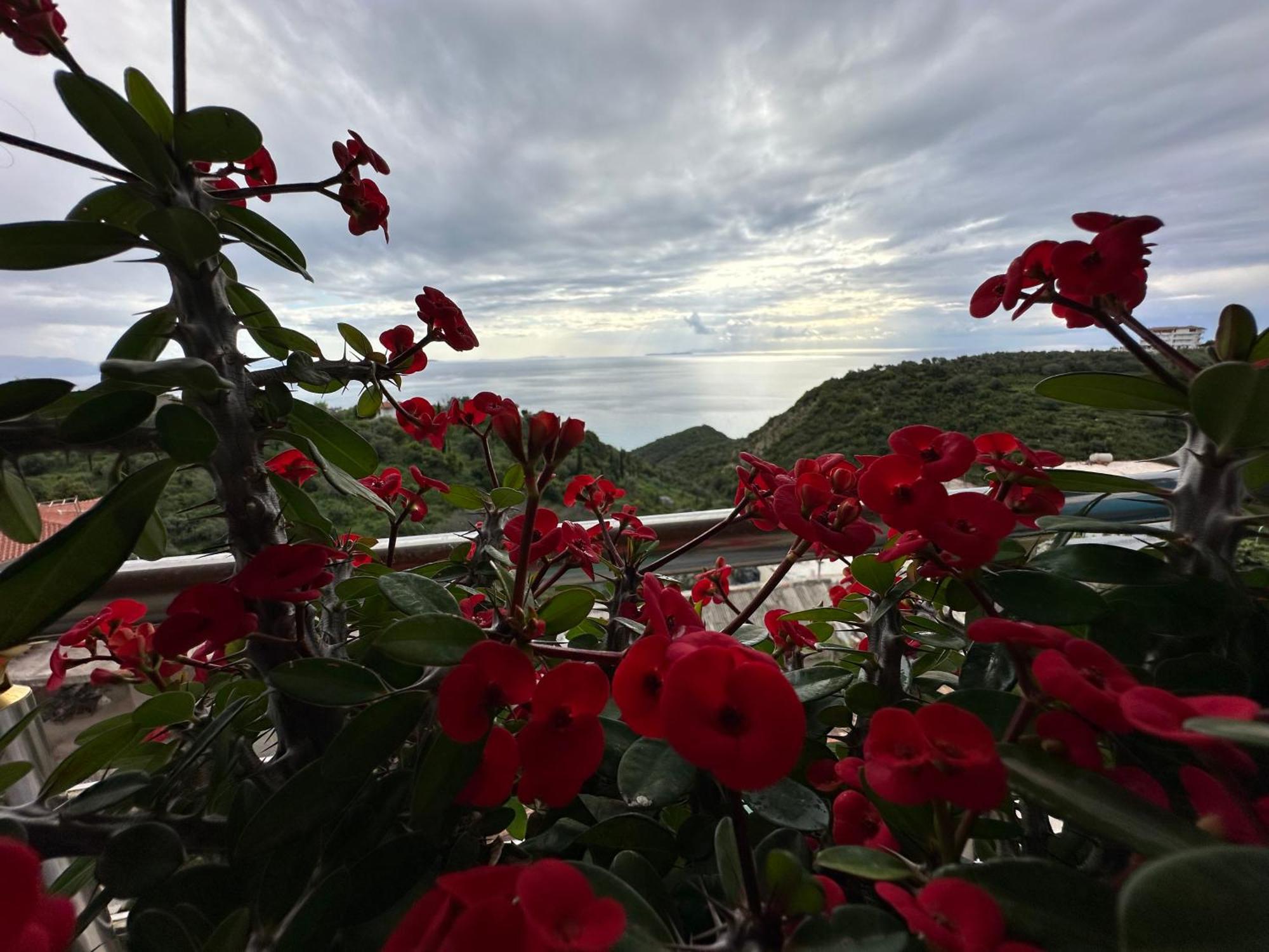 Selami Sea View Apartments Lukovë 외부 사진