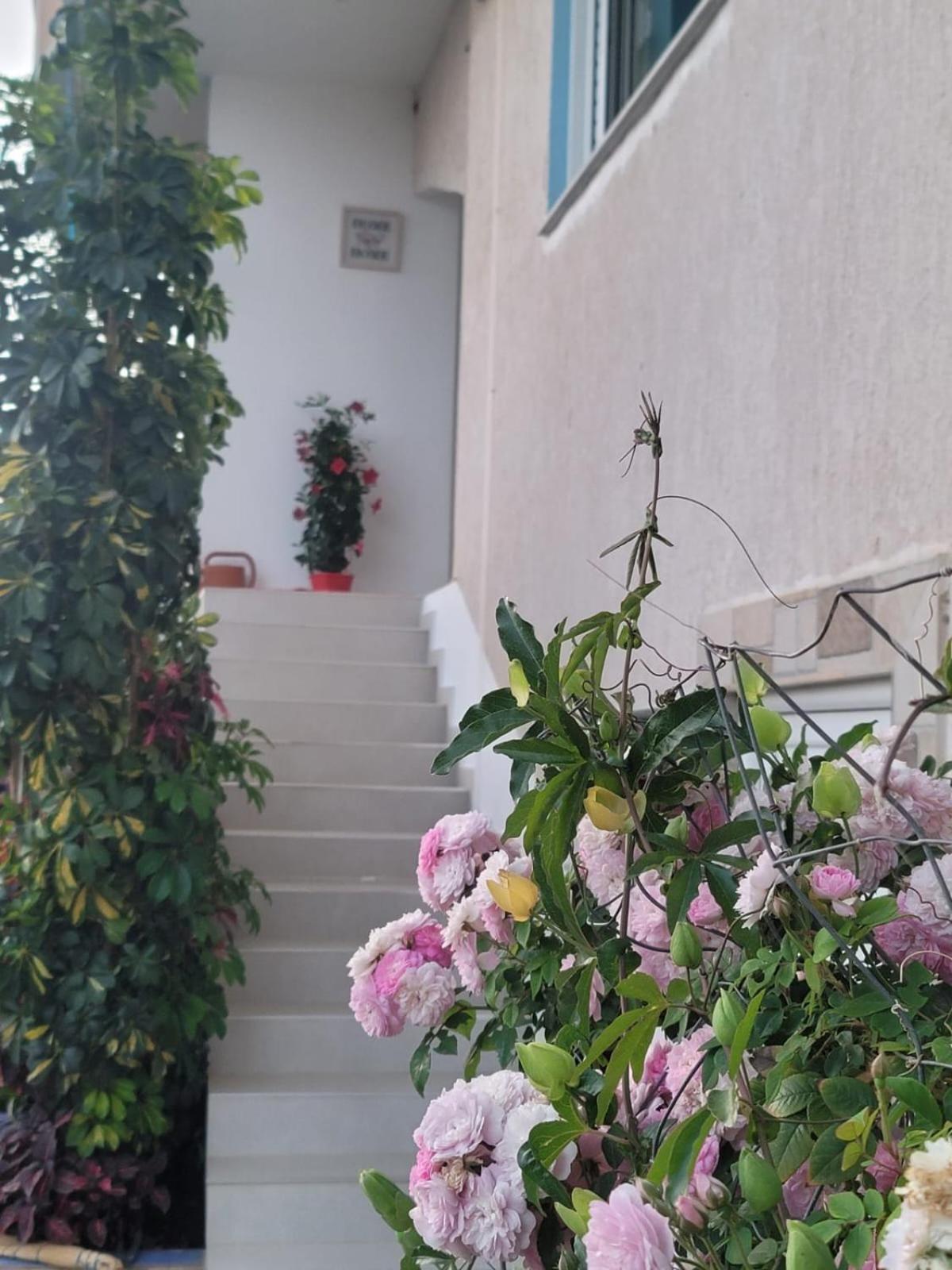 Selami Sea View Apartments Lukovë 외부 사진